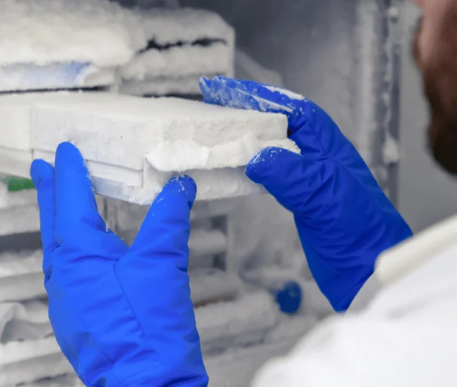 industrial experience