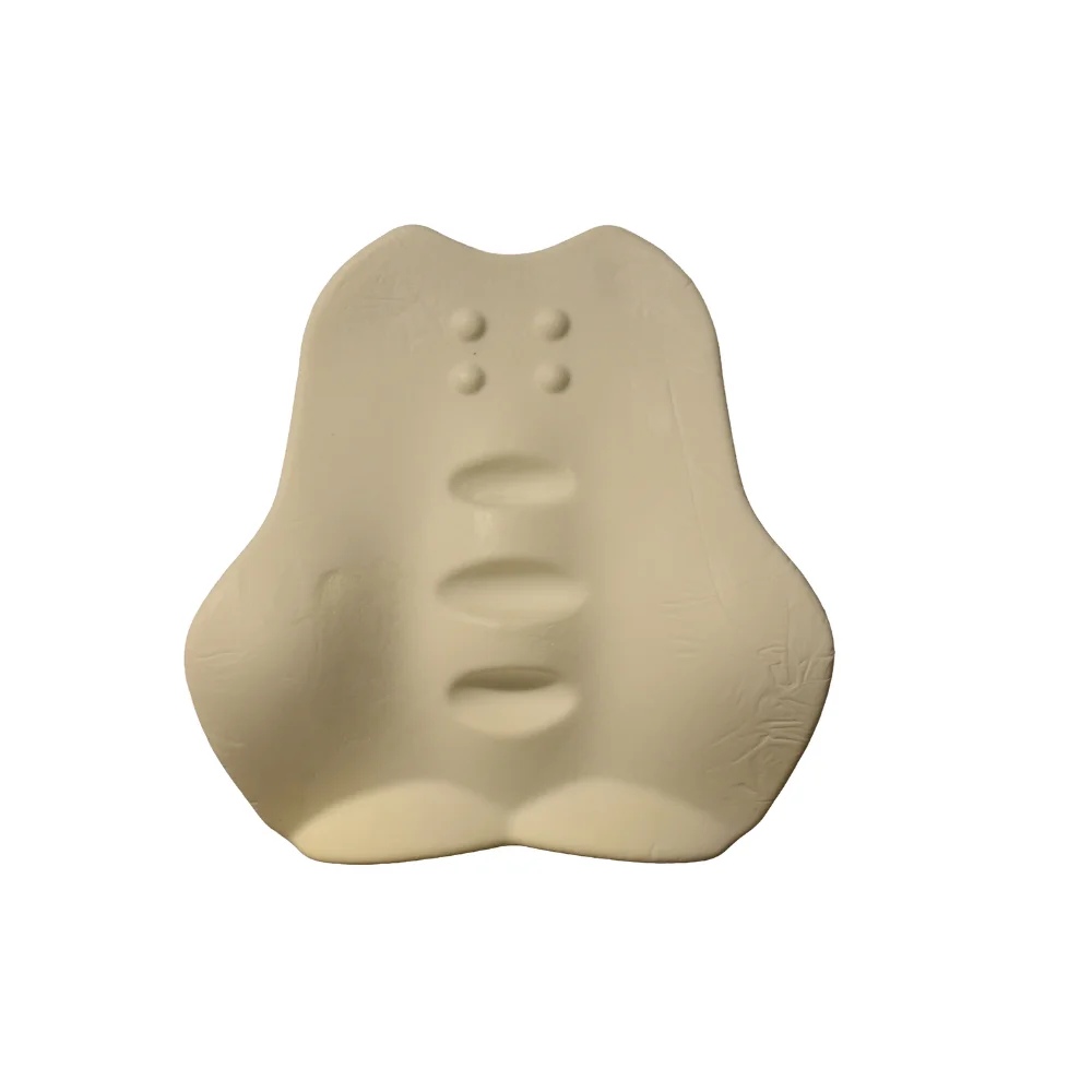 memory foam back rest